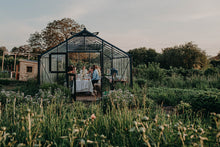 Lade das Bild in den Galerie-Viewer, Blühwein - Wein trifft Blumenfeld