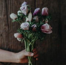 Lade das Bild in den Galerie-Viewer, Frühling im Quartett – Narzissen, Anemonen, Ranunkeln & Pfingstrose