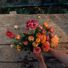 Lade das Bild in den Galerie-Viewer, Frühling im Quartett – Narzissen, Anemonen, Ranunkeln & Pfingstrose