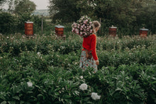 Lade das Bild in den Galerie-Viewer, Roher Wildling Honig