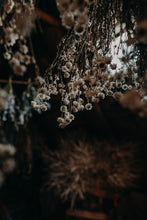 Lade das Bild in den Galerie-Viewer, Adventskränzeln im Glashaus