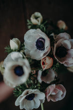 Lade das Bild in den Galerie-Viewer, Frühling im Quartett – Narzissen, Anemonen, Ranunkeln & Pfingstrose