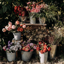 Lade das Bild in den Galerie-Viewer, Blumen für Feste und Feiern