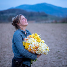 Lade das Bild in den Galerie-Viewer, Ode an die Narzisse - 4x Narzissen XL