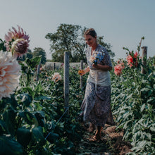 Lade das Bild in den Galerie-Viewer, Blumenbar 2025 - Pflück Dir Deinen Strauß