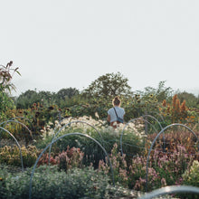 Lade das Bild in den Galerie-Viewer, Blumenbar 2025 - Pflück Dir Deinen Strauß