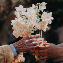 Lade das Bild in den Galerie-Viewer, PROJEKT AUFBLÜHEN- wo ein Aufblühen gerade gebraucht wird