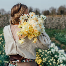 Lade das Bild in den Galerie-Viewer, Ode an die Narzisse - 4x Narzissen XL