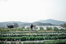 Lade das Bild in den Galerie-Viewer, Workshop - From Field to Vase